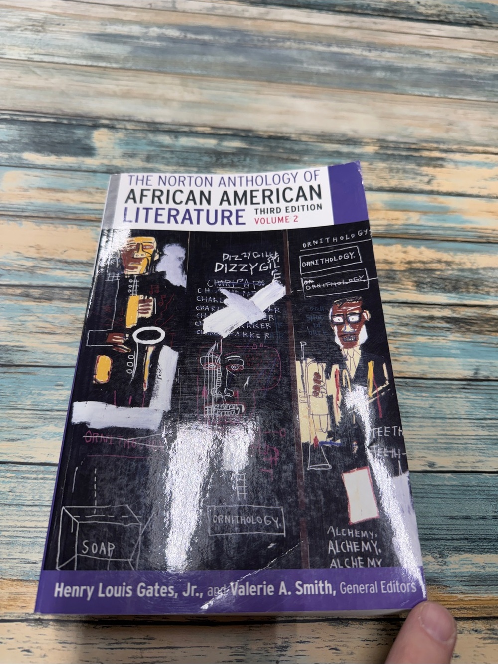 ⭐️The Norton Anthology of African American Literature Third Edition Volume 2